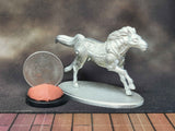 The Giddyup Mark 5